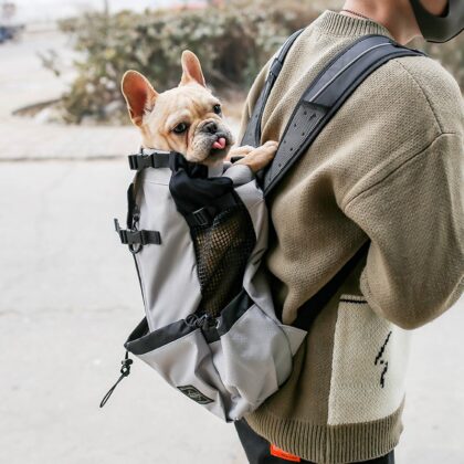 Shotgun Rider | Dog Carrier Backpack | PAWS