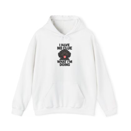 I Have No Clue What I'm Doing Hoodie | Doodle