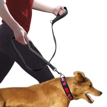 Plan B Handle | Double Handle Dog Leash | PAWS
