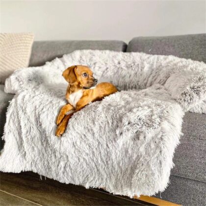 Officially Not Your Bed | Plush Dog Bed | PAWS